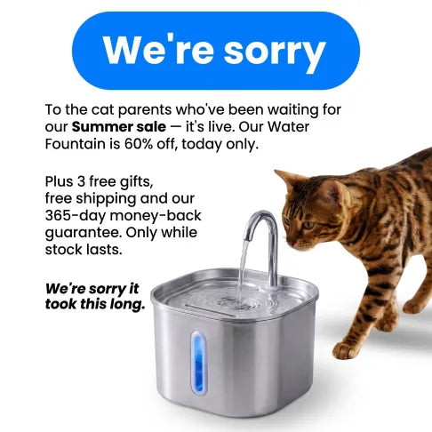 Stainless Steel Drinkly Water Fountain