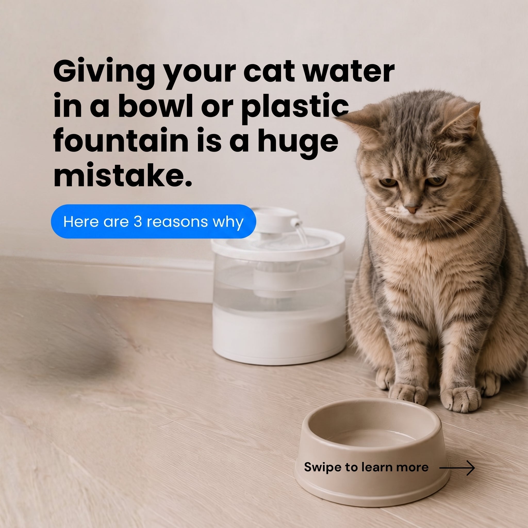 Stainless Steel Drinkly Water Fountain