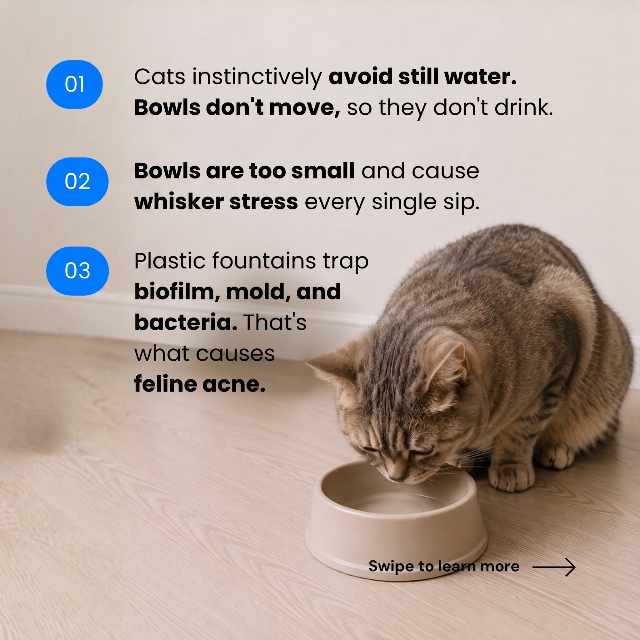 Stainless Steel Drinkly Water Fountain