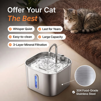 Medical-Grade Stainless Steel Drinkly Fountain