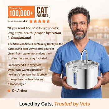 Medical-Grade Stainless Steel Drinkly Fountain