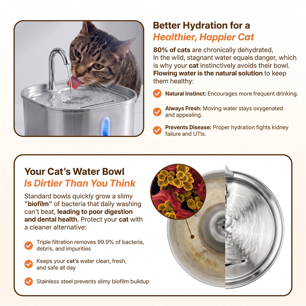 Medical-Grade Stainless Steel Drinkly Fountain + FREE GIFTS