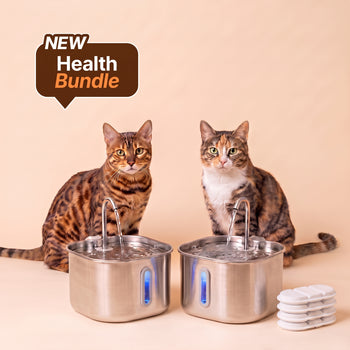 Medical-Grade Stainless Steel Drinkly Fountain