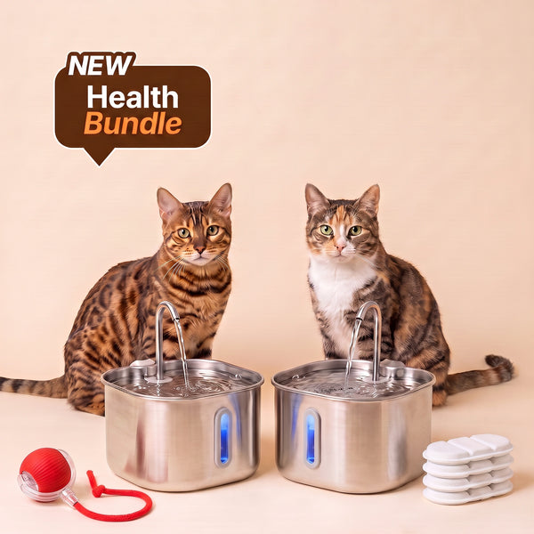 Stainless Steel Drinkly Fountain + Free Gifts